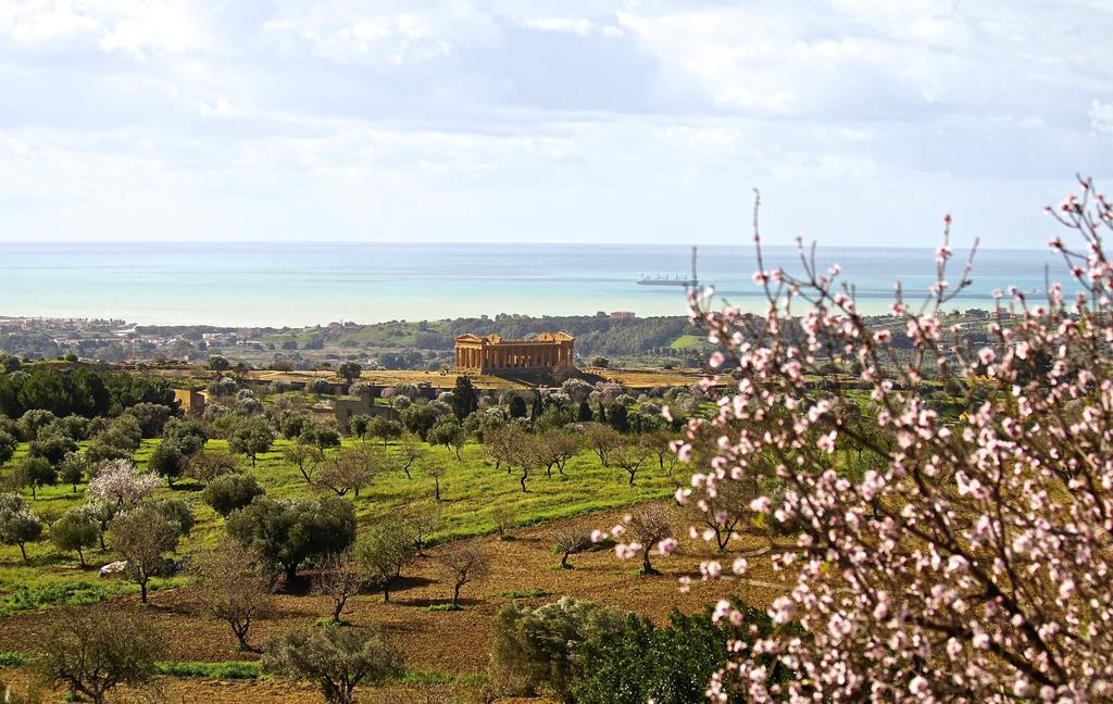La Passeggiata Di Girgenti Bed and Breakfast Αγκριτζέντο Εξωτερικό φωτογραφία